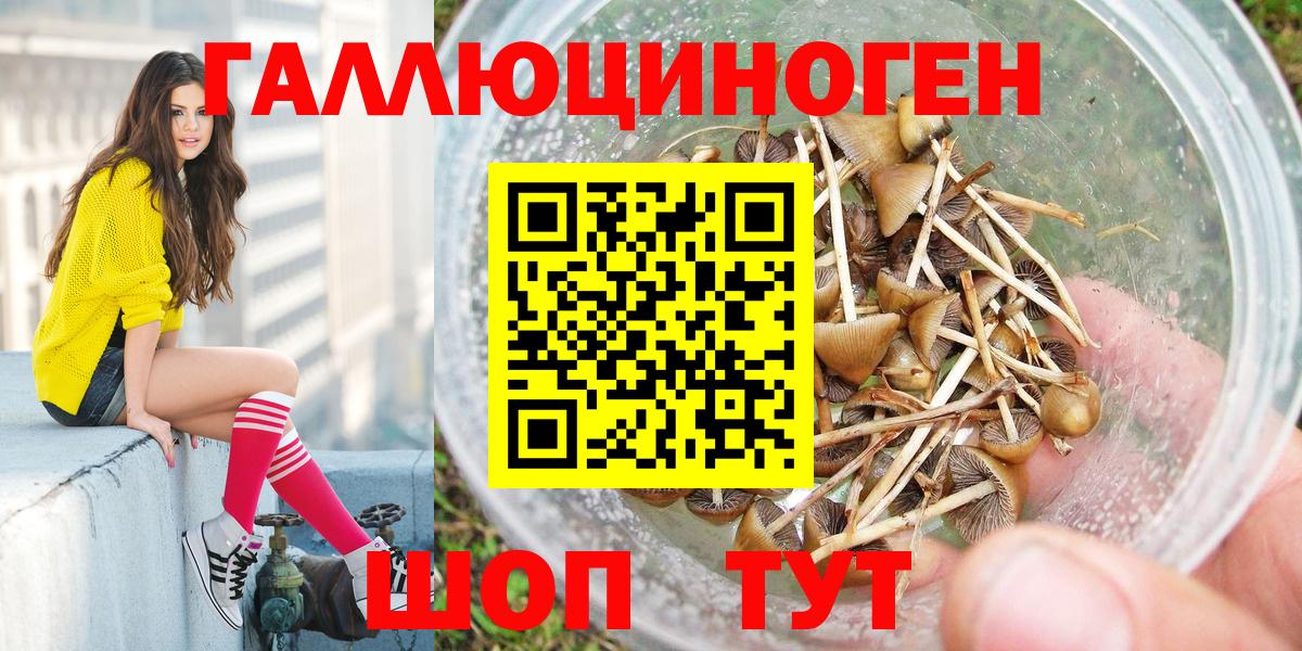 даркнет сайт  Галлюциногенные грибы Cubensis  Вход с VPN  Гусиноозёрск  Галлюциногенные грибы Psilocybine cubensis 