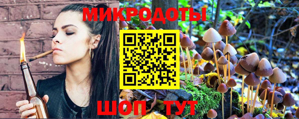 Галлюциногенные грибы MAGIC MUSHROOMS Гусиноозёрск